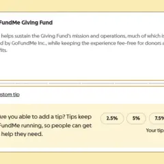 GoFundMe tipping interface showing 0% selected, with options to enter a custom tip or select pre-set percentages.