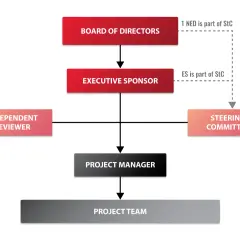 Organizational chart showing board of directors, executive sponsor, independent reviewer, steering committee, project manager, and project team roles.