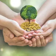 Hands of different ages cradle a tree with a globe for a crown, atop a pile of coins, symbolizing growth and hope for environmental fundraisers.
