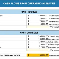 Cash flow statement showing inflows from grants, fees, and investment income, and outflows for salaries, rent, and fundraising costs. Net cash provided is $166,000.