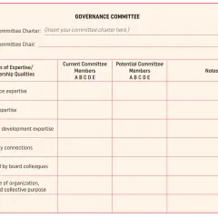 A template for a non-profit board committee structure, detailing expertise, current, and potential members for a Governance Committee.