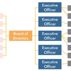 Organizational chart showing a governance framework example: Members report to the Board of Directors, which oversees Executive Officers, who manage Employees.