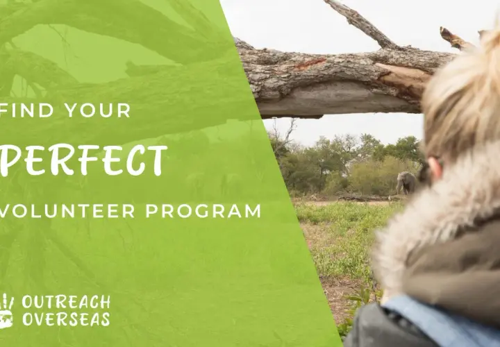 Find your perfect volunteer program with Outreach Overseas. Discover ways to volunteer and help elephants in their natural habitat.