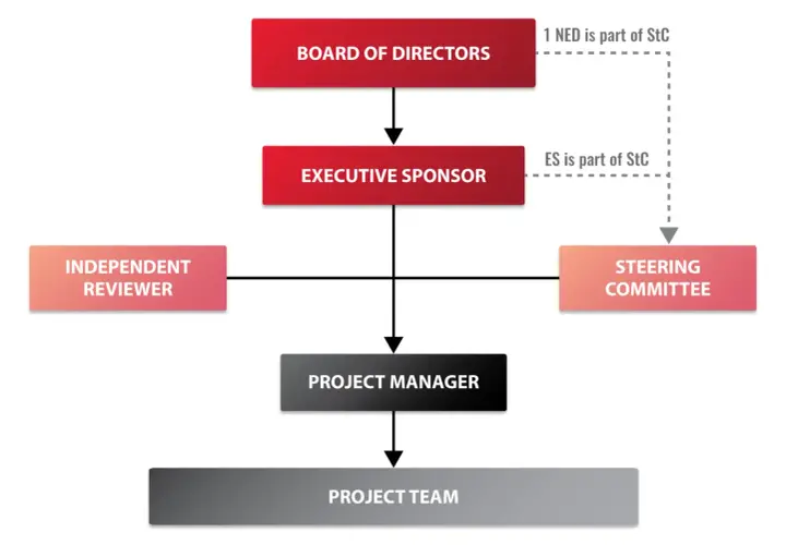 Organizational chart showing board of directors, executive sponsor, independent reviewer, steering committee, project manager, and project team roles.