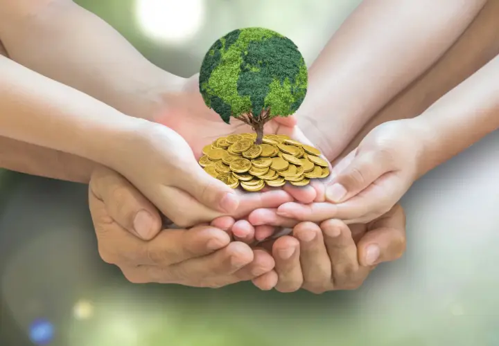 Hands of different ages cradle a tree with a globe for a crown, atop a pile of coins, symbolizing growth and hope for environmental fundraisers.