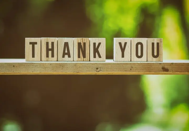Wooden blocks spell "THANK YOU" on a shelf, perfect for a Giving Tuesday thank you email.