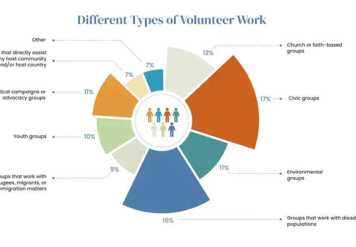 Pie chart showing different types of voluntary work. Civic groups are the largest category at 17%.