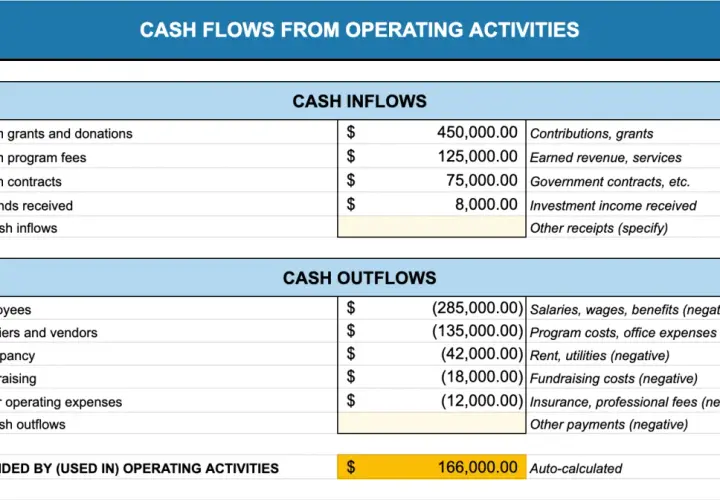 Cash flow statement showing inflows from grants, fees, and investment income, and outflows for salaries, rent, and fundraising costs. Net cash provided is $166,000.
