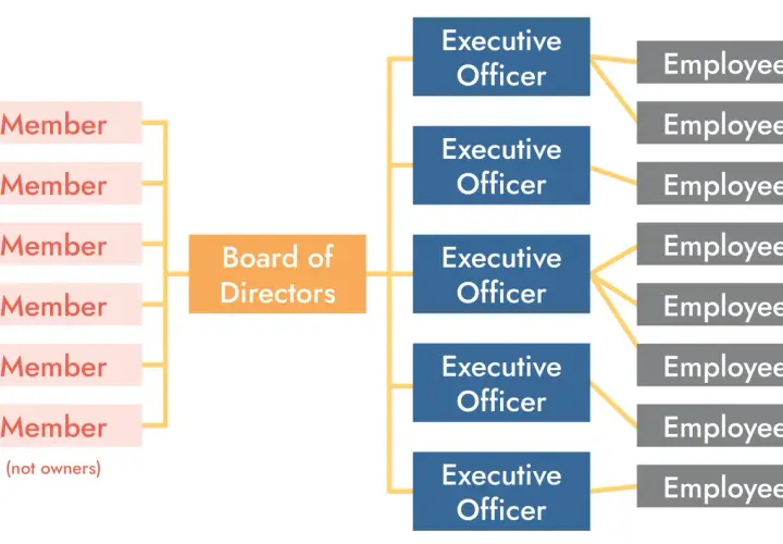 Organizational chart showing a governance framework example: Members report to the Board of Directors, which oversees Executive Officers, who manage Employees.