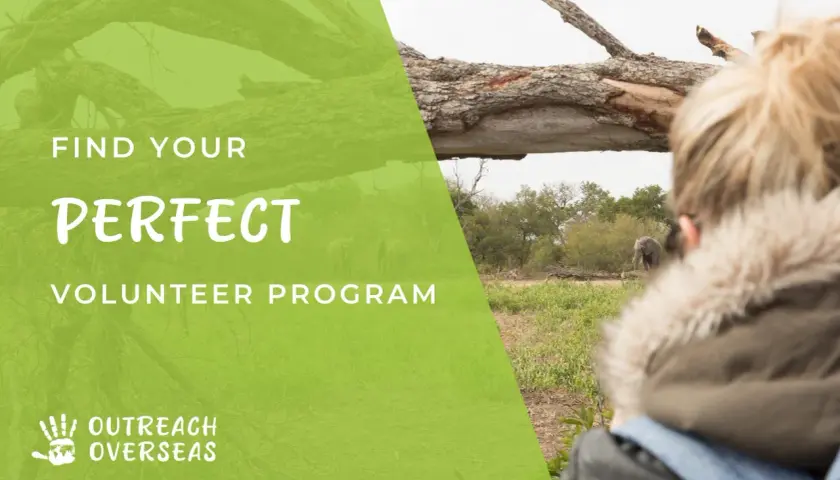 Find your perfect volunteer program with Outreach Overseas. Discover ways to volunteer and help elephants in their natural habitat.