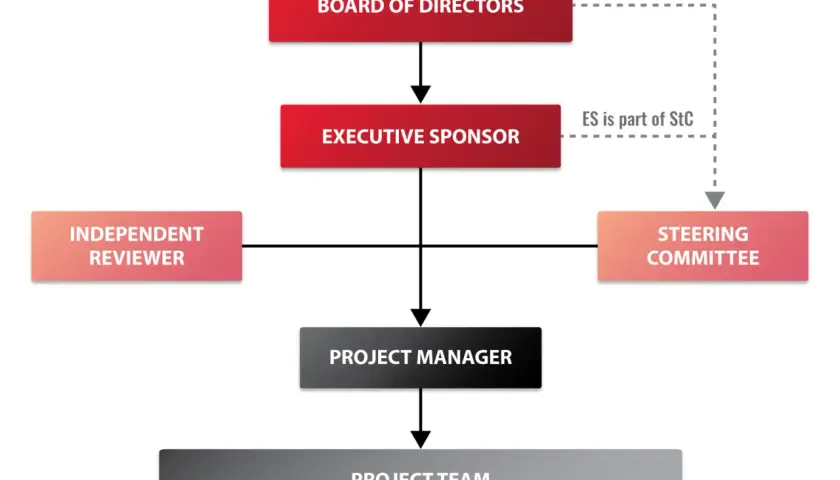 Organizational chart showing board of directors, executive sponsor, independent reviewer, steering committee, project manager, and project team roles.