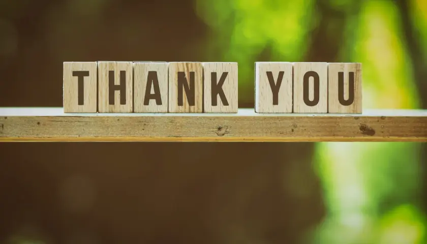 Wooden blocks spell "THANK YOU" on a shelf, perfect for a Giving Tuesday thank you email.