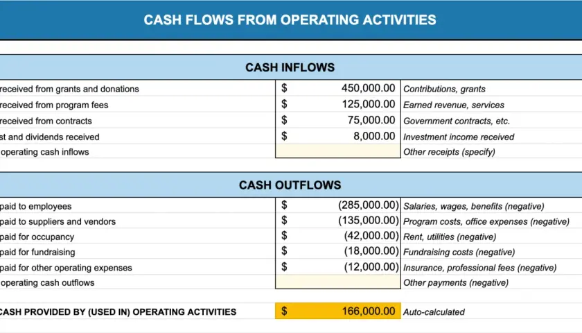 Cash flow statement showing inflows from grants, fees, and investment income, and outflows for salaries, rent, and fundraising costs. Net cash provided is $166,000.