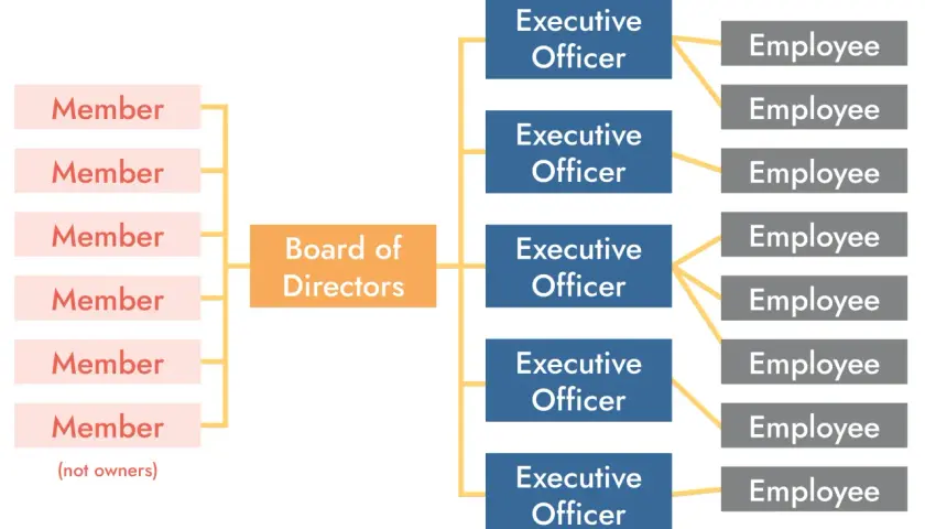 Organizational chart showing a governance framework example: Members report to the Board of Directors, which oversees Executive Officers, who manage Employees.