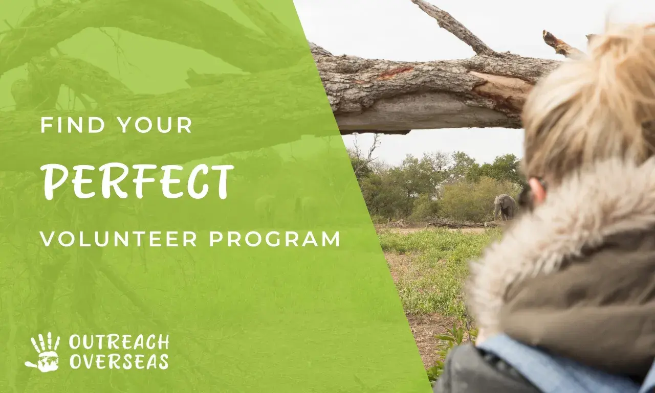 Find your perfect volunteer program with Outreach Overseas. Discover ways to volunteer and help elephants in their natural habitat.