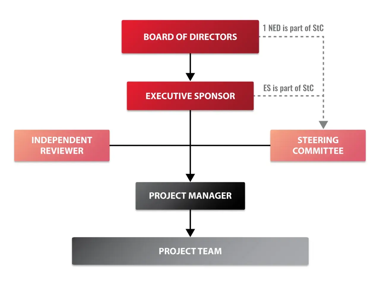 Organizational chart showing board of directors, executive sponsor, independent reviewer, steering committee, project manager, and project team roles.