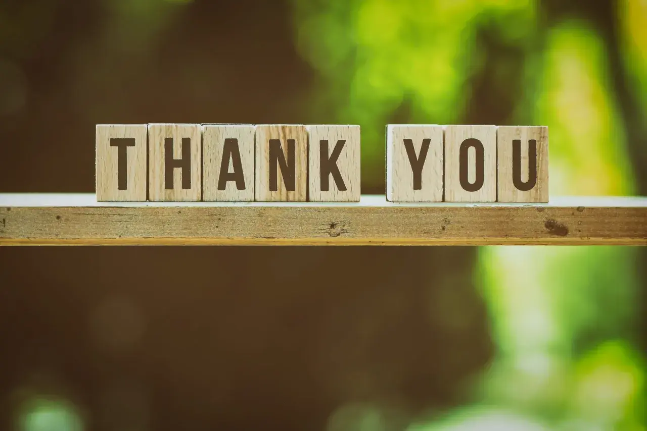 Wooden blocks spell "THANK YOU" on a shelf, perfect for a Giving Tuesday thank you email.