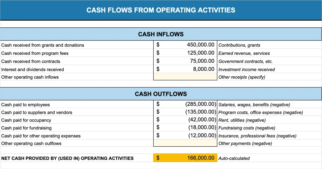 Cash flow statement showing inflows from grants, fees, and investment income, and outflows for salaries, rent, and fundraising costs. Net cash provided is $166,000.