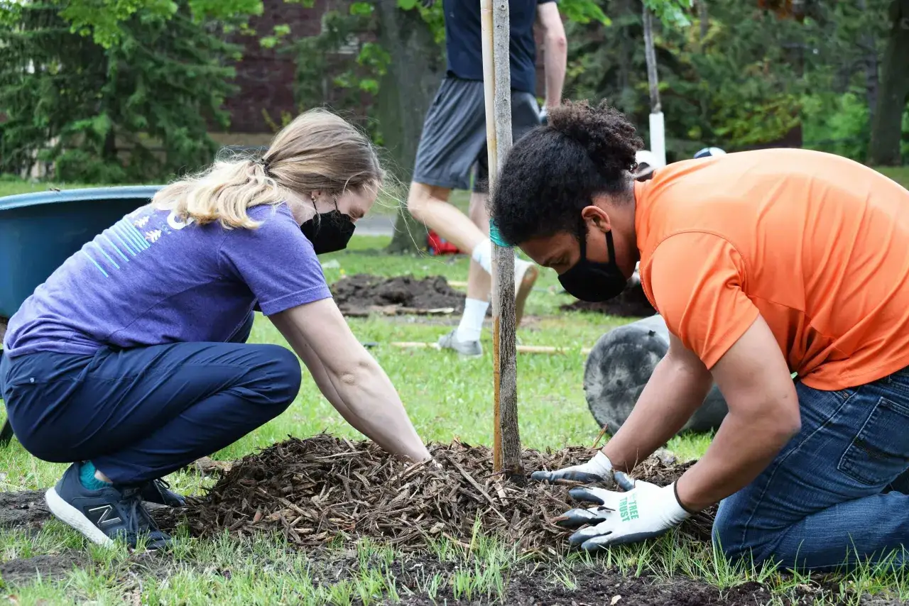community tree planting fundraiser volunteers