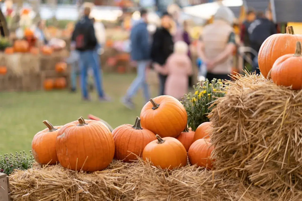 Pumpkins and hay bales set the scene for fall festival activities, with blurred figures enjoying the autumn atmosphere in the background.