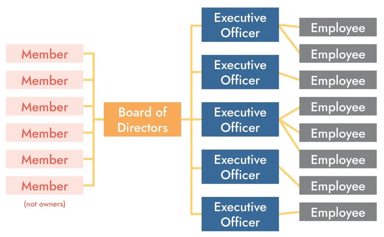 Organizational chart showing a governance framework example: Members report to the Board of Directors, which oversees Executive Officers, who manage Employees.